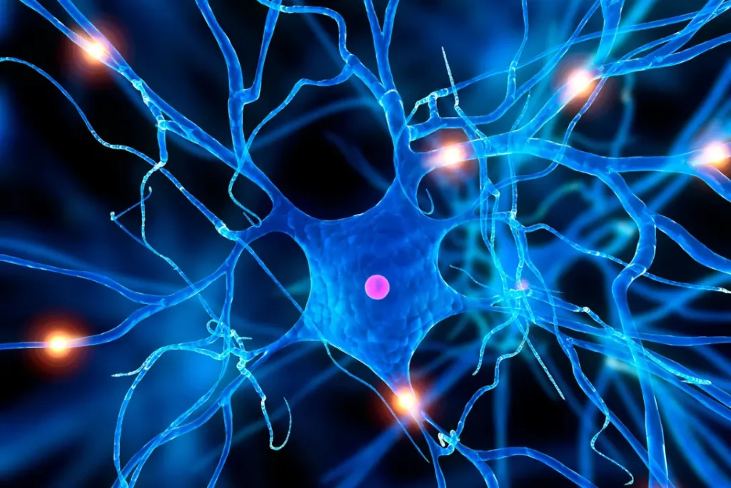 Oddech a system nerwowy